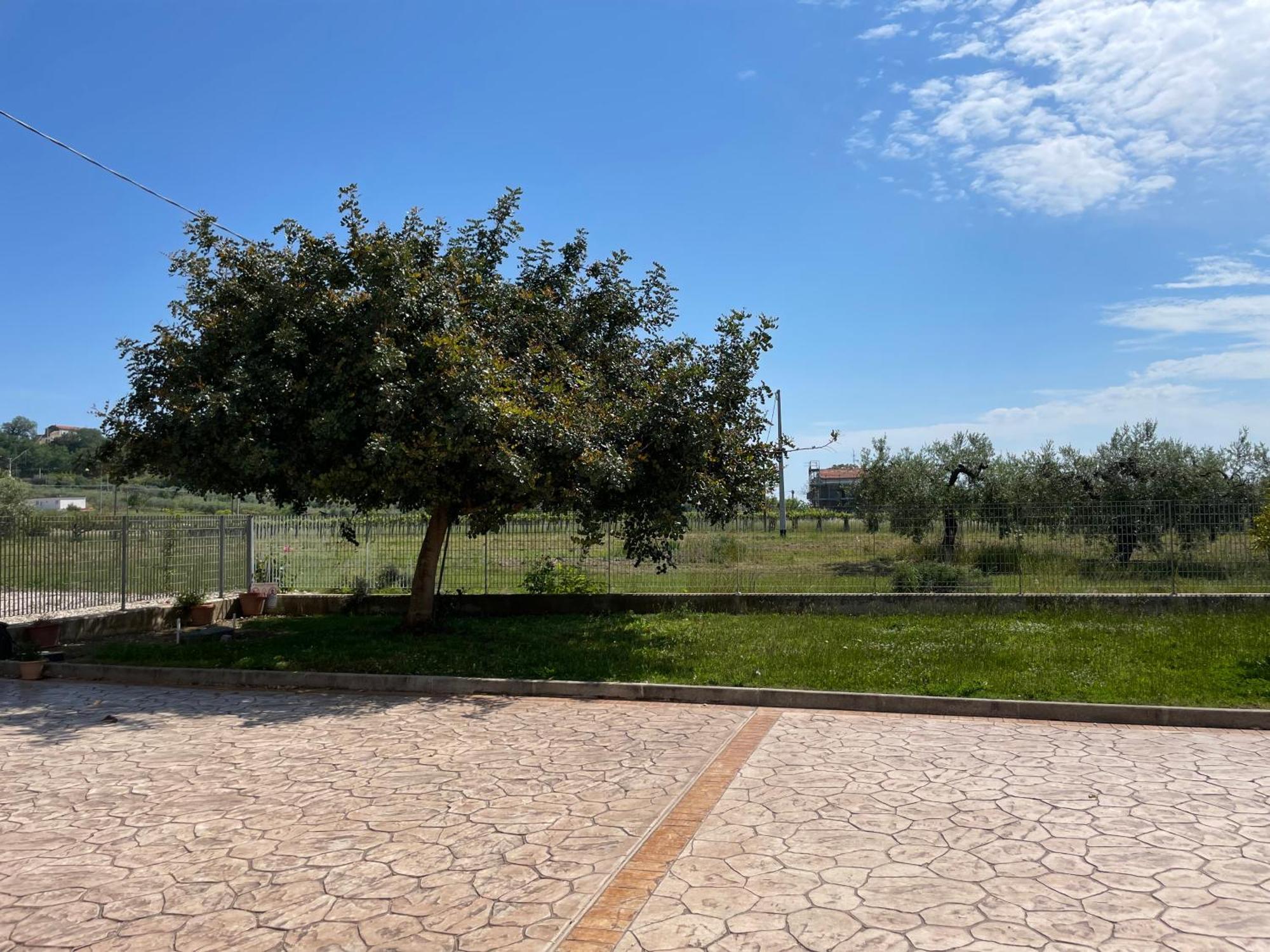 La Casa Di Michela *